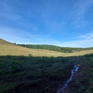 Terreno, no bairro Fazenda Souza em Caxias do Sul para Comprar