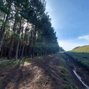 Terreno, no bairro Fazenda Souza em Caxias do Sul para Comprar