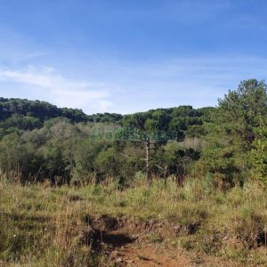 Terreno, no bairro Fazenda Souza em Caxias do Sul para Comprar