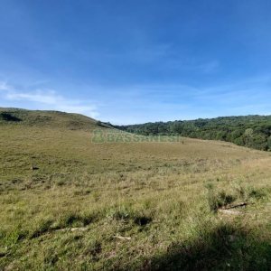 Terreno, no bairro Fazenda Souza em Caxias do Sul para Comprar