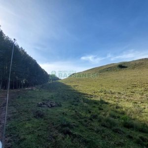 Terreno, no bairro Fazenda Souza em Caxias do Sul para Comprar