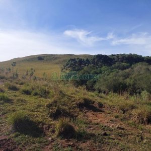 Terreno, no bairro Fazenda Souza em Caxias do Sul para Comprar