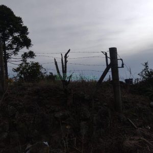 Terreno com 360m², no bairro Serrano em Caxias do Sul para Comprar