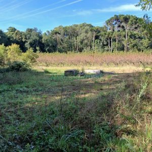 Chácara com 20000m², no bairro Linha 40 em Caxias do Sul para Comprar