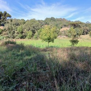 Chácara com 20000m², no bairro Linha 40 em Caxias do Sul para Comprar