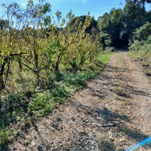 Chácara com 20000m², no bairro Linha 40 em Caxias do Sul para Comprar