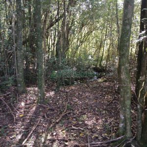 Chácara com 20000m², no bairro Linha 40 em Caxias do Sul para Comprar