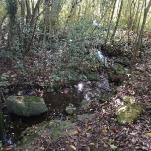 Chácara com 20000m², no bairro Linha 40 em Caxias do Sul para Comprar