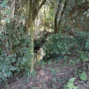 Chácara com 20000m², no bairro Linha 40 em Caxias do Sul para Comprar