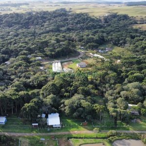 Chácara com 300m², 3 dormitórios, no bairro Apanhador em Caxias do Sul para Comprar