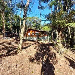 Chácara com 230m², 3 dormitórios, 3 vagas, no bairro São Virgílio em Caxias do Sul para Comprar