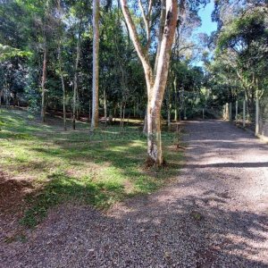 Chácara com 230m², 3 dormitórios, 3 vagas, no bairro São Virgílio em Caxias do Sul para Comprar