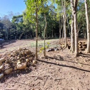 Chácara com 230m², 3 dormitórios, 3 vagas, no bairro São Virgílio em Caxias do Sul para Comprar