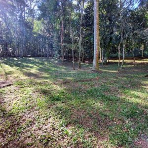 Chácara com 230m², 3 dormitórios, 3 vagas, no bairro São Virgílio em Caxias do Sul para Comprar