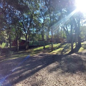 Chácara com 230m², 3 dormitórios, 3 vagas, no bairro São Virgílio em Caxias do Sul para Comprar