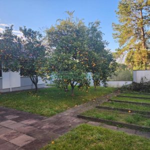 Casa com 270m², 3 dormitórios, 4 vagas, no bairro Cinqüentenário em Caxias do Sul para Comprar