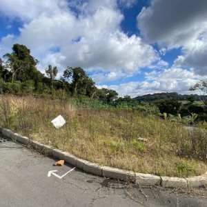 Terreno com 319m², no bairro Nossa Senhora das Graças em Caxias do Sul para Comprar