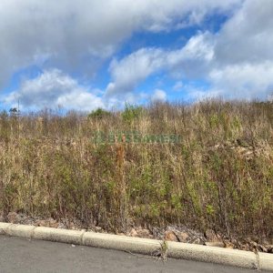 Terreno com 319m², no bairro Nossa Senhora das Graças em Caxias do Sul para Comprar