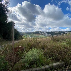 Terreno com 319m², no bairro Nossa Senhora das Graças em Caxias do Sul para Comprar