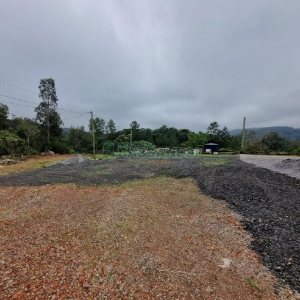 Pavilhão com 460m², no bairro Linha Feijo em Caxias do Sul para Alugar