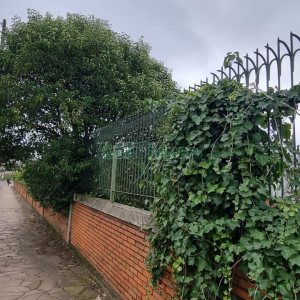 Terreno com 2000m², no bairro Nossa Senhora da Saúde em Caxias do Sul para Comprar