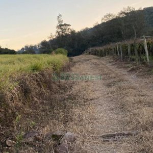 Terreno com 113285m², no bairro Vila Lobos em Caxias do Sul para Comprar