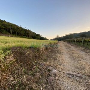 Terreno com 113285m², no bairro Vila Lobos em Caxias do Sul para Comprar