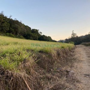 Terreno com 113285m², no bairro Vila Lobos em Caxias do Sul para Comprar