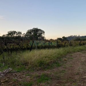 Terreno com 113285m², no bairro Vila Lobos em Caxias do Sul para Comprar