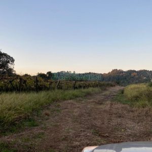 Terreno com 113285m², no bairro Vila Lobos em Caxias do Sul para Comprar