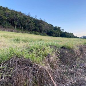 Terreno com 113285m², no bairro Vila Lobos em Caxias do Sul para Comprar