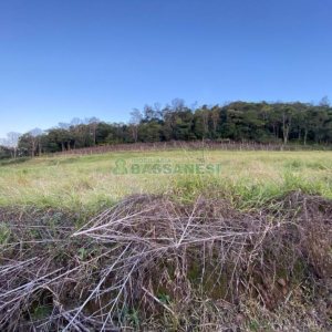 Terreno com 113285m², no bairro Vila Lobos em Caxias do Sul para Comprar