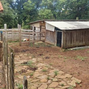 Chácara com 38200m², 3 dormitórios, no bairro Interior em São Marcos para Comprar