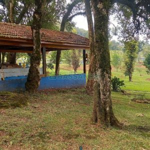 Chácara com 38200m², 3 dormitórios, no bairro Interior em São Marcos para Comprar