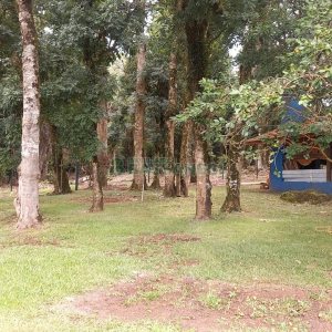 Chácara com 38200m², 3 dormitórios, no bairro Interior em São Marcos para Comprar