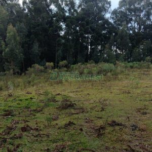 Terreno com 15257m², no bairro Jardim Iracema em Caxias do Sul para Comprar