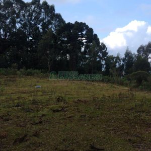 Terreno com 15257m², no bairro Jardim Iracema em Caxias do Sul para Comprar