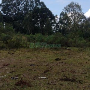 Terreno com 15257m², no bairro Jardim Iracema em Caxias do Sul para Comprar