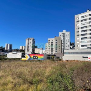 Terreno com 5000m², no bairro Sanvitto em Caxias do Sul para Comprar