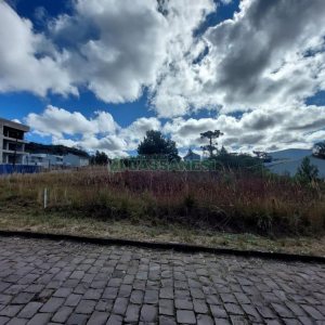 Terreno com 360m², no bairro São Luiz em Caxias do Sul para Comprar