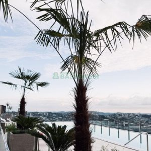 Apartamento com 110m², 3 dormitórios, 2 vagas, no bairro Petrópolis em Caxias do Sul para Comprar