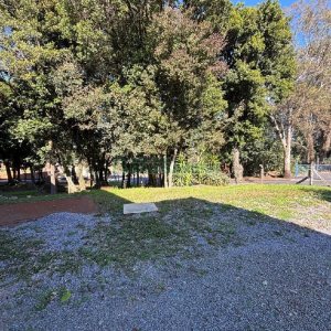 Pavilhão com 800m², no bairro Cruzeiro em Caxias do Sul para Alugar