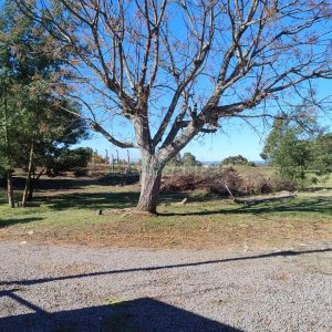 Terreno com 15377m², no bairro Diamantino em Caxias do Sul para Alugar
