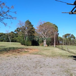 Terreno com 15377m², no bairro Diamantino em Caxias do Sul para Alugar