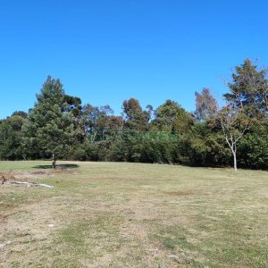 Terreno com 15377m², no bairro Diamantino em Caxias do Sul para Alugar