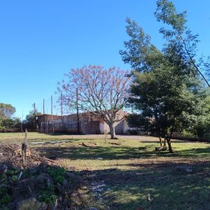 Terreno com 15377m², no bairro Diamantino em Caxias do Sul para Alugar