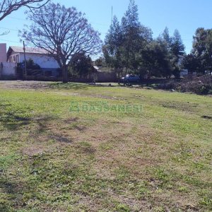 Terreno com 15377m², no bairro Diamantino em Caxias do Sul para Alugar