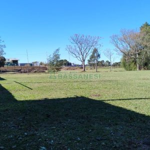 Terreno com 15377m², no bairro Diamantino em Caxias do Sul para Alugar