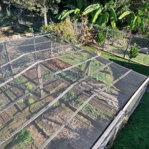 Casa com 200m², 3 dormitórios, 2 vagas, no bairro Vila Verde em Caxias do Sul para Comprar