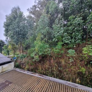 Apto Mobiliado com 55m², 2 dormitórios, 1 vaga, no bairro Cinqüentenário em Caxias do Sul para Alugar